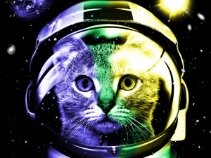 Matsui International Space Cat